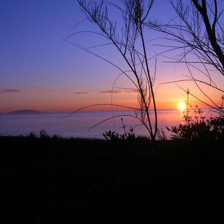Levolle Marine Ξενοδοχείο Poggio Mezzana Εξωτερικό φωτογραφία